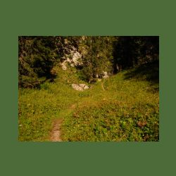 2012-08-09_01Fischunkel-Alm_Wasseralm (441).JPG